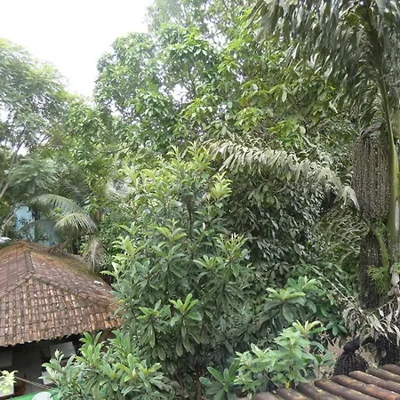 Pousada Jambo Trindade-3